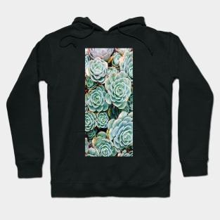 Green Succulent Close Up Hoodie